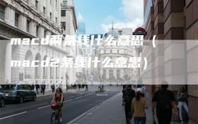 macd两条线什么意思（macd2条线什么意思）