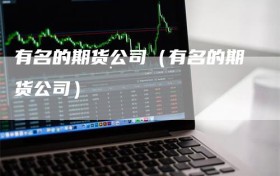 有名的期货公司（有名的期货公司）