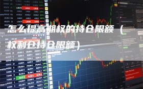 怎么提高期权的持仓限额（权利仓持仓限额）