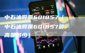 中石油股票601857（中石油股票601857最高是多少）