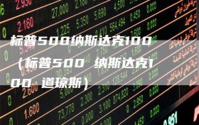 标普500纳斯达克100（标普500 纳斯达克100 道琼斯）