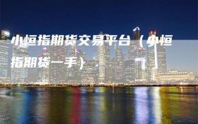 小恒指期货交易平台（小恒指期货一手）