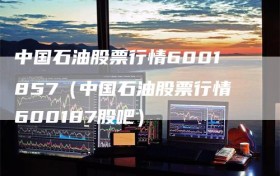 中国石油股票行情6001857（中国石油股票行情600187股吧）