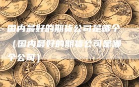 国内最好的期货公司是哪个（国内最好的期货公司是哪个公司）