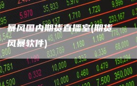 暴风国内期货直播室(期货风暴软件)