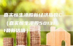 嘉实恒生港股新经济指数C（嘉实恒生港股501311最新估值）