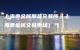 上海贵金属期货交易所（上海贵金属交易市场）