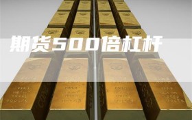 期货500倍杠杆