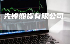 先锋期货有限公司