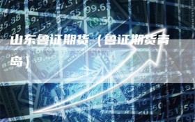 山东鲁证期货（鲁证期货青岛）