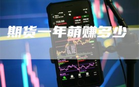 期货一年萌赚多少