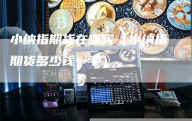小纳指期货在哪买（小纳指期货多少钱一手）