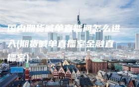 国内期货喊单直播间怎么进入(期货喊单直播室金融直播室)