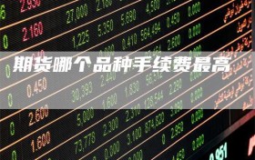 期货哪个品种手续费最高
