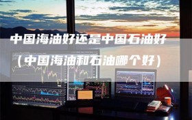 中国海油好还是中国石油好（中国海油和石油哪个好）