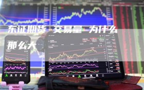 东证期货 交易量 为什么那么大
