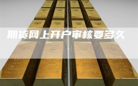 期货网上开户审核要多久