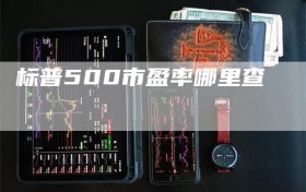 标普500市盈率哪里查