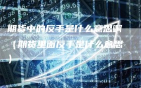 期货中的反手是什么意思啊（期货里面反手是什么意思）
