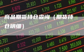 商品期货持仓查询（期货持仓明细）
