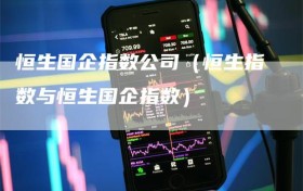 恒生国企指数公司（恒生指数与恒生国企指数）