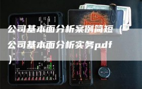 公司基本面分析案例简短（公司基本面分析实务pdf）