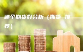 哪个期货好分析（期货 推荐）