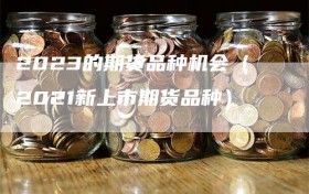 2023的期货品种机会（2021新上市期货品种）