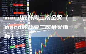 macd底背离二次金叉（macd底背离二次金叉指标）