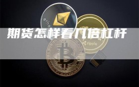 期货怎样看几倍杠杆