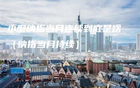 小型纳指当月连续到底是啥（纳指当月持续）