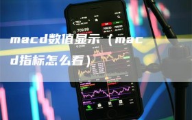 macd数值显示（macd指标怎么看）