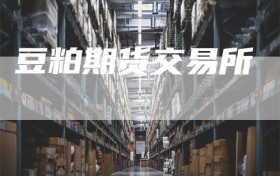 豆粕期货交易所
