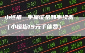 小恒指一手保证金和手续费（小恒指15元手续费）