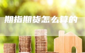 期指期货怎么算的