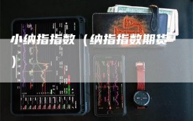 小纳指指数（纳指指数期货）