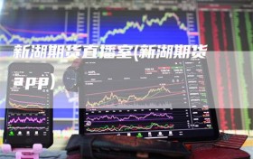 新湖期货直播室(新湖期货app)