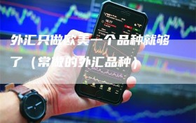 外汇只做欧美一个品种就够了（常做的外汇品种）