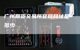 广州期货交易所官网网址是多少