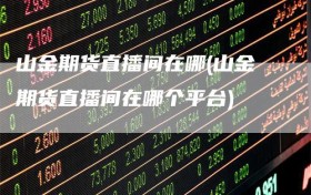 山金期货直播间在哪(山金期货直播间在哪个平台)