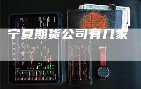 宁夏期货公司有几家
