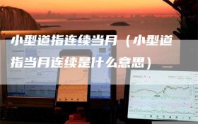 小型道指连续当月（小型道指当月连续是什么意思）