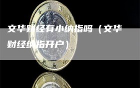 文华财经有小纳指吗（文华财经纳指开户）