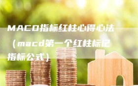 MACD指标红柱心得心法（macd第一个红柱标记指标公式）