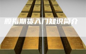 股指期货入门知识简介