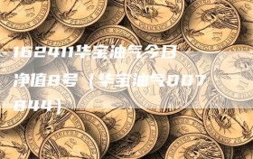 162411华宝油气今日净值8号（华宝油气007844）