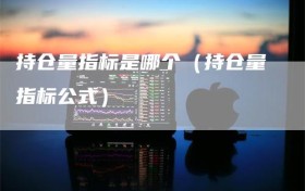 持仓量指标是哪个（持仓量指标公式）