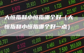 大恒指和小恒指哪个好（大恒指和小恒指哪个好一点）