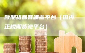 微期货都有哪些平台（国内正规期货微平台）