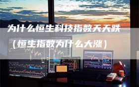 为什么恒生科技指数天天跌（恒生指数为什么大涨）